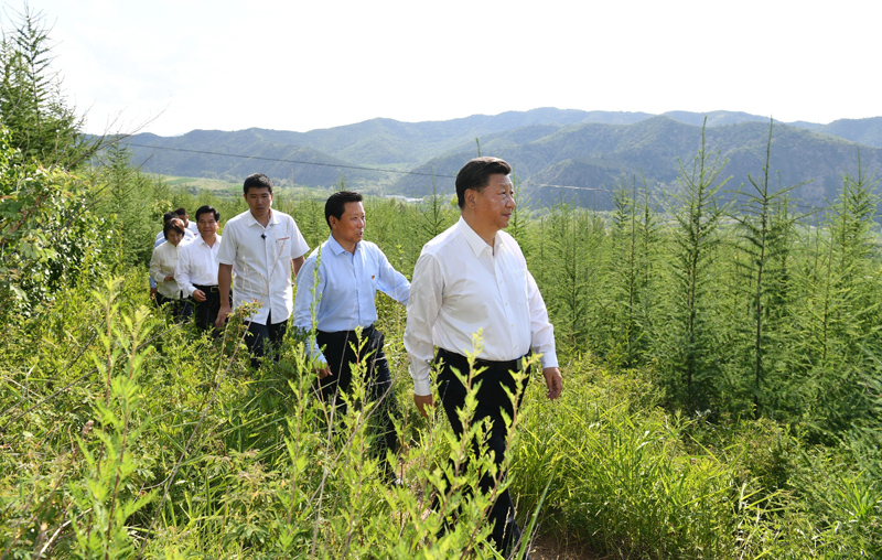 7月15日至16日，中共中央總書記、國家主席、中央軍委主席習(xí)近平在內(nèi)蒙古考察并指導(dǎo)開展“不忘初心、牢記使命”主題教育。這是15日下午，習(xí)近平在赤峰市喀喇沁旗馬鞍山林場林區(qū)，沿著崎嶇的護(hù)林小道察看林木長勢。